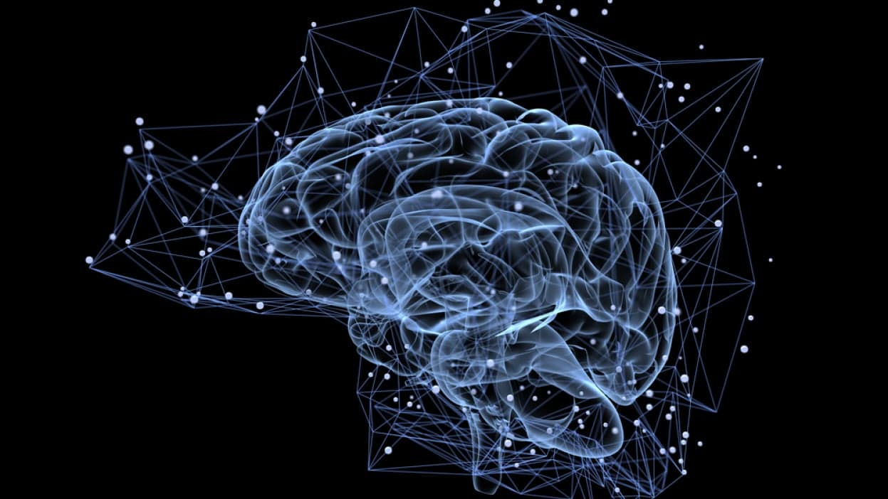 "Rewiring" the Brain is Guaranteed by Recovery!